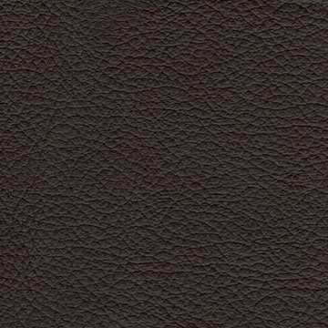 Sierra-1015 dark brown